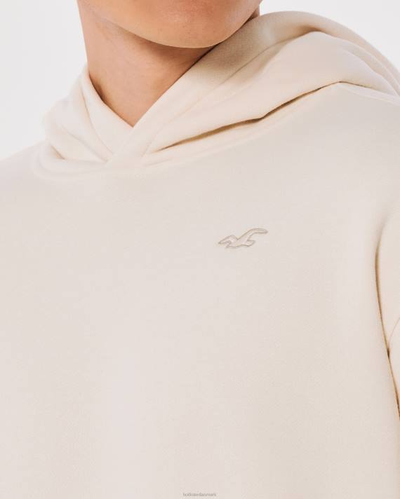 Hollister Mænd logo ikon hættetrøje 2H8Z941 toppe fløde