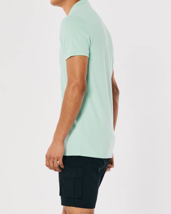 Hollister Mænd logo ikon polo 2H8Z804 toppe mynte