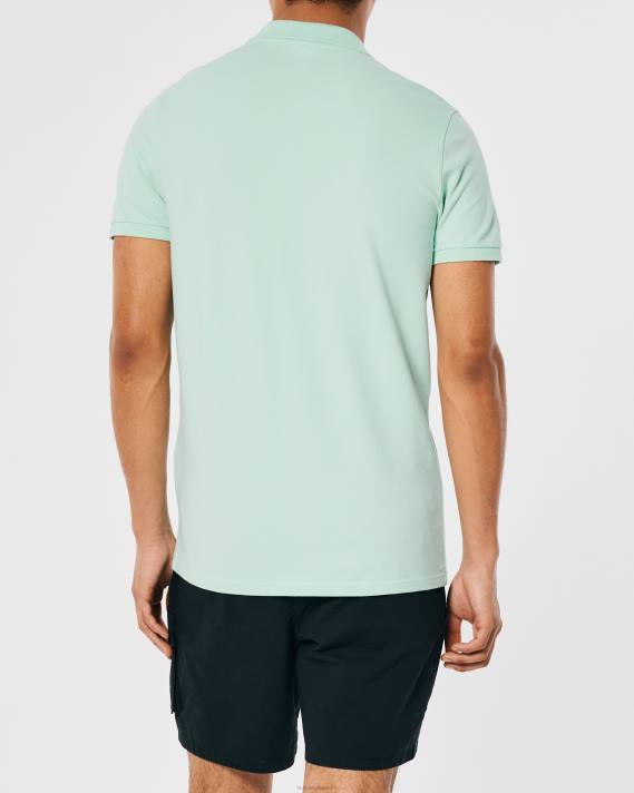 Hollister Mænd logo ikon polo 2H8Z804 toppe mynte