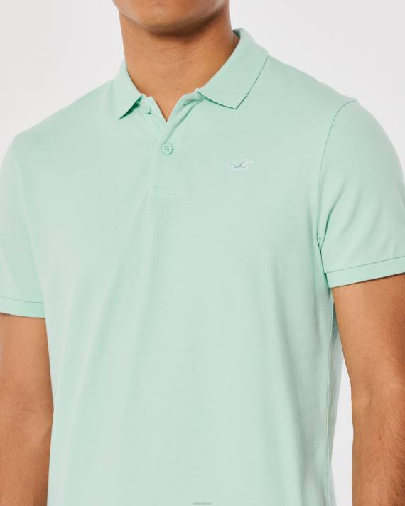 Hollister Mænd logo ikon polo 2H8Z804 toppe mynte