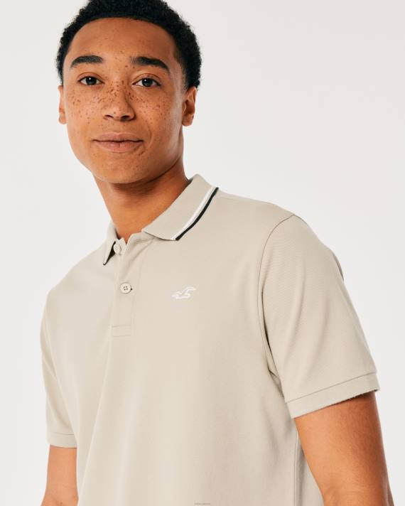 Hollister Mænd tippet krave ikon polo 2H8Z991 toppe gråmeleret