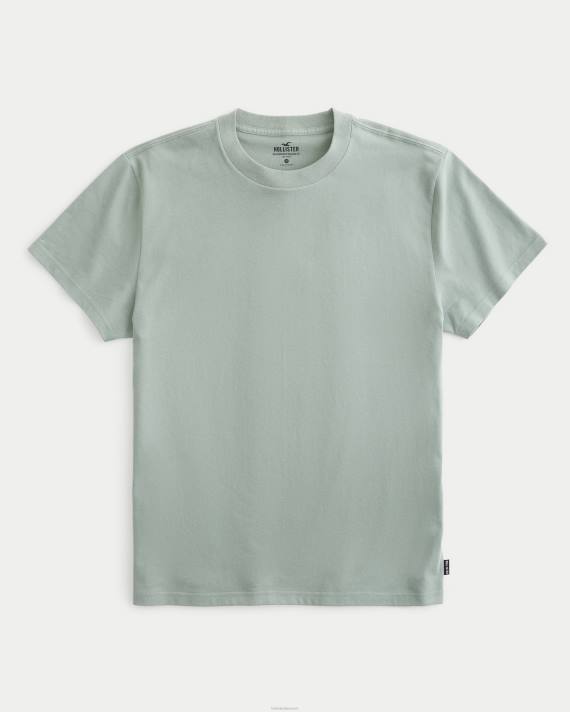 Hollister Mænd afslappet tungvægts besætning t-shirt 2H8Z960 toppe sort