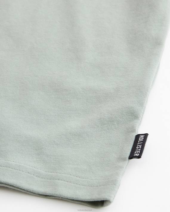 Hollister Mænd afslappet tungvægts besætning t-shirt 2H8Z960 toppe sort