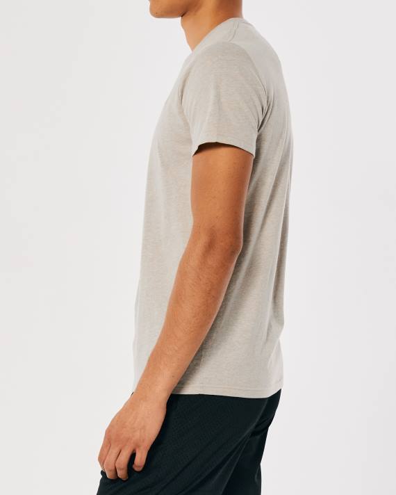 Hollister Mænd logo ikon besætning t-shirt 2H8Z805 toppe lyngbrun