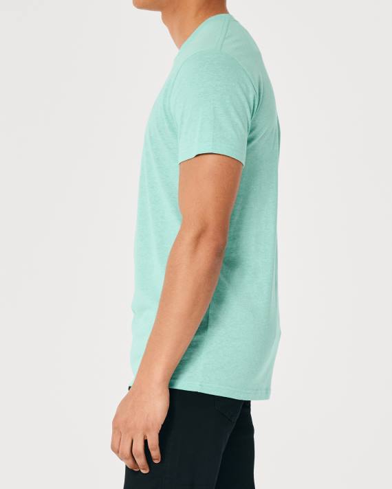 Hollister Mænd logo ikon besætning t-shirt 2H8Z852 toppe lyngmynte