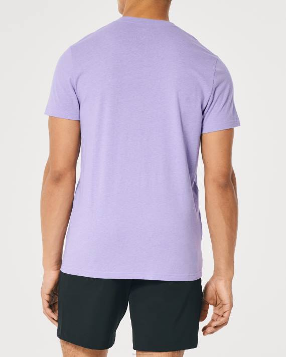 Hollister Mænd logo ikon besætning t-shirt 2H8Z936 toppe lyng lilla