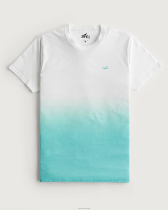 Hollister Mænd ombre logo ikon bomulds t-shirt 2H8Z905 toppe hvid til mint ombre