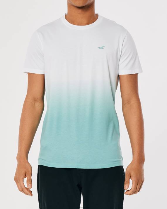 Hollister Mænd ombre logo ikon bomulds t-shirt 2H8Z905 toppe hvid til mint ombre