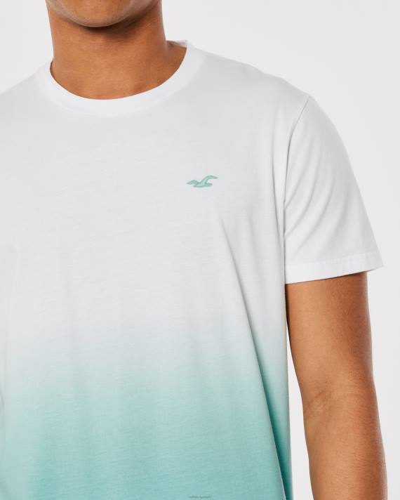 Hollister Mænd ombre logo ikon bomulds t-shirt 2H8Z905 toppe hvid til mint ombre