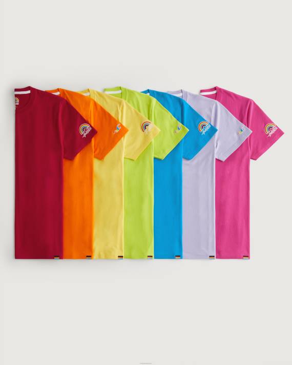 Hollister Mænd pride logo crew t-shirts 2H8Z74 toppe multi 7 lys