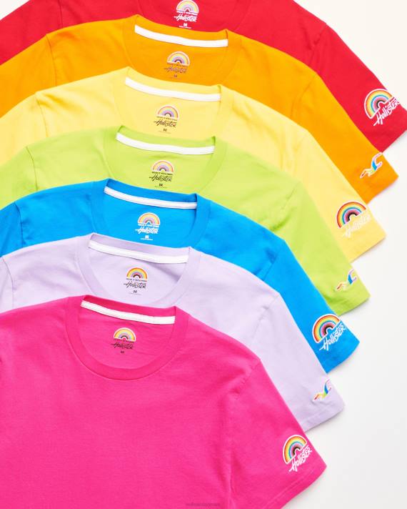 Hollister Mænd pride logo crew t-shirts 2H8Z74 toppe multi 7 lys